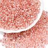 6/0 Baking Paint Transparent Fringe Glass Seed Beads SEED-N006-06E-1