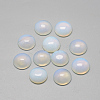 Opalite Cabochons G-R416-12mm-49-1