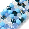 Glass Beads Strands EGLA-A034-M10mm-12-4