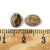 Natural Picture Jasper Cabochons G-A094-01B-48-3
