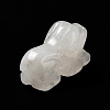 Natural Quartz Crystal Dog Healing Figurines DJEW-Z005-05B-4