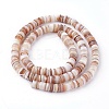 Shell Beads Strands SSHEL-E571-49D-2