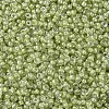 MIYUKI Round Rocailles Beads SEED-G007-RR0378-3