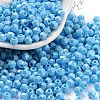 Baking Paint Glass Seed Beads SEED-A032-02G-1