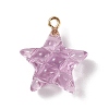 Transparent Resin Pendants RESI-Z016-02C-LG-1