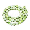 Freshwater Shell Beads Strands X-SHEL-T009-B16-04-2