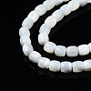 Natural Trochid Shell/Trochus Shell Beads Strands SSHEL-N034-121-B01-3
