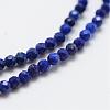 Natural Lapis Lazuli Bead Strands G-G663-48-3mm-3