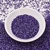 MIYUKI Delica Beads SEED-J020-DB1810-2