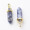 Natural Blue Spot Jasper Double Terminated Pointed Pendants G-G902-B04-3