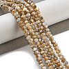 Natural Freshwater Shell Beads Strands X-BSHE-G038-05-2