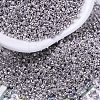 MIYUKI Delica Beads SEED-MY11-DB0429-1