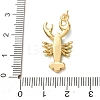 Brass with Enamel Pendants KK-CBA2F11-08B-G04-3