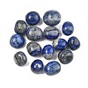 Natural Lapis Lazuli Beads G-G348-01B-06-1