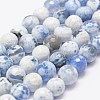 Faceted Natural Fire Crackle Agate Beads Strands X-G-F447-8mm-B09-1