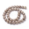 Natural Fossil Coral Beads Strands G-F563-02-10mm-2