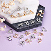 2 Sets 2 Colors Zinc Alloy Pendants ALRI-FW0001-02-4