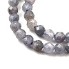 Natural Tanzanite Beads Strands G-S387-A01-3mm-4