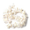 Dyed Natural Trochus Shell Beads Strands SSHEL-C013-09J-2