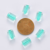 Transparent Acrylic Beads TACR-S154-17A-68-3