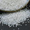 MIYUKI Delica Beads SEED-X0054-DB1671-1