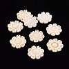 Freshwater Shell Cabochons SHEL-T018-14-1