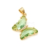 Glass Pendants GLAA-G075-01G-2