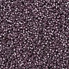 MIYUKI Delica Beads SEED-J020-DB0462-2