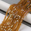 Transparent Glass Beads Strands X1-EGLA-A034-T4mm-MB02-2