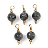 Natural Larvikite Pendants GG-CBA5E56-07G-04-1
