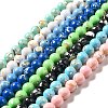 Synthetic Turquoise and Sea Shell Assembled Beads Strands G-D482-01C-1