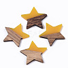 Transparent Resin & Wood Pendants RESI-T023-23-B02-1
