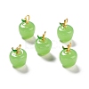 Handmade Lampwork Pendants LAMP-A150-06MG-08-2
