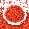Opaque Baking Paint Glass Seed Beads SEED-T008-02J-2
