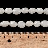 Natural White Jade Beads Strands G-E614-B01-08-4