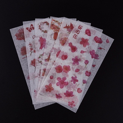 Natural Theme Stickers DIY-L038-A05-1