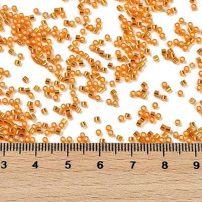 Electroplate Glass Seed Beads SEED-H003-10F-1