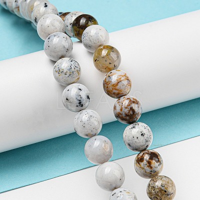 Natural Dendritic Opal Beads Strands G-R494-A16-03-1