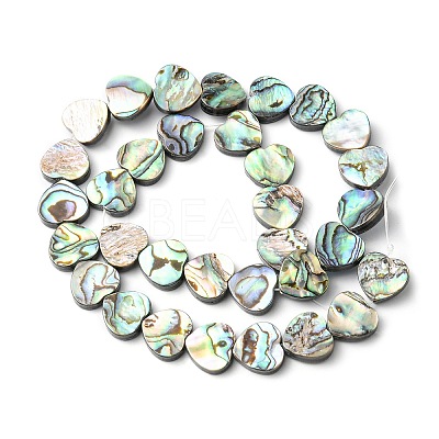 Natural Paua Shell Beads Strands SHEL-F006-04-1