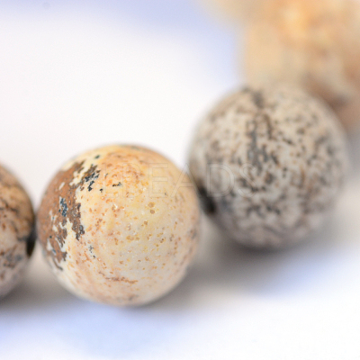 Frosted Natural Picture Jasper Round Bead Strands X-G-E334-8mm-26-1