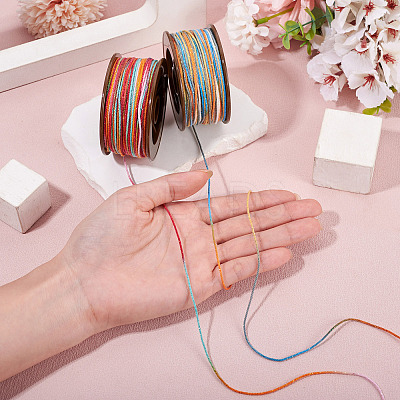 2 Rolls 2 Colors Segment Dyed Round Polyester Twisted Cords OCOR-TA0003-65B-1