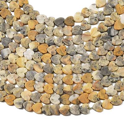 Natural Crazy Agate Beads Strands G-A272-A01-09-1