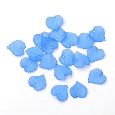 Transparent Acrylic Pendants PL591-5-1