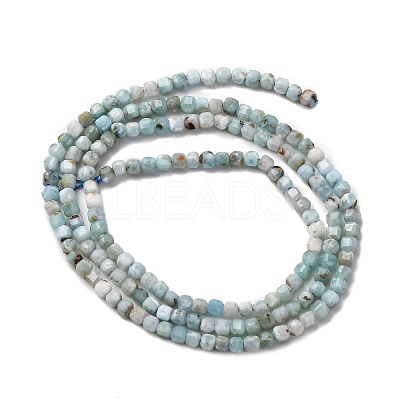 Natural Larimar Beads Strands G-F803-C01-01-1