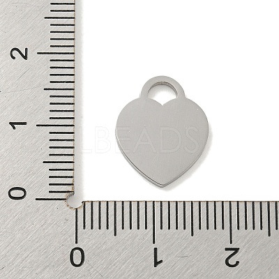 Non-Tarnish 304 Stainless Steel Pendants FIND-M017-01P-D-1