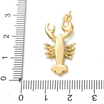 Brass with Enamel Pendants KK-CBA2F11-08B-G04-1