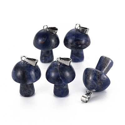 Natural Sodalite Pendants G-N0325-10K-1