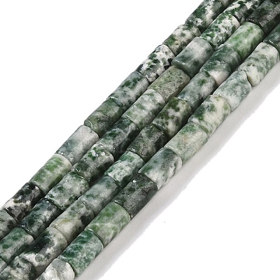 Natural Green Spot Jasper Beads Strands G-C128-A17-01-1