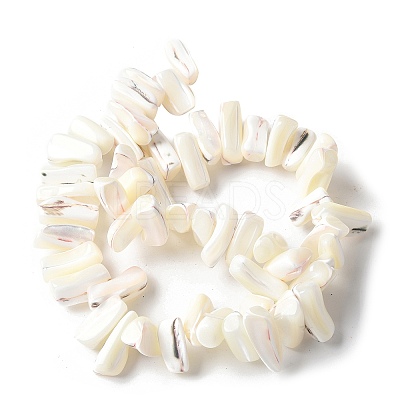 Dyed Natural Trochus Shell Beads Strands SSHEL-C013-09J-1