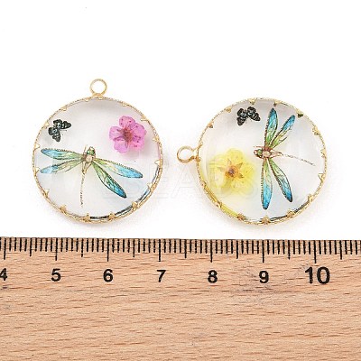 Brass Glass Pendants GL-CBA591C-03G-1